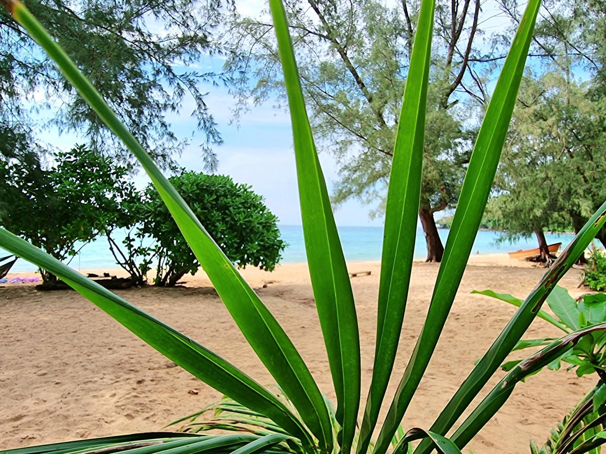 Sunboo Beach Bungalows Koh Rong Samlon Eksteriør billede